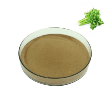 Chinese supply pure natural fruit 100% organic celery root powder in herbal extract